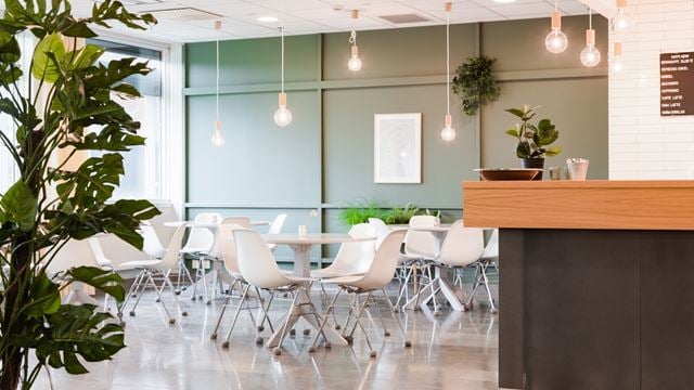 Två träd. stplar och bord i kontorsfastigheten Bricks