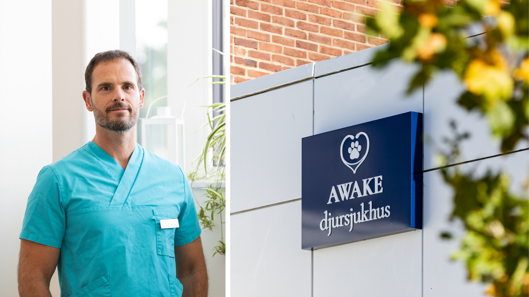 Fyrfota vänner får vård i den gamla postterminalen