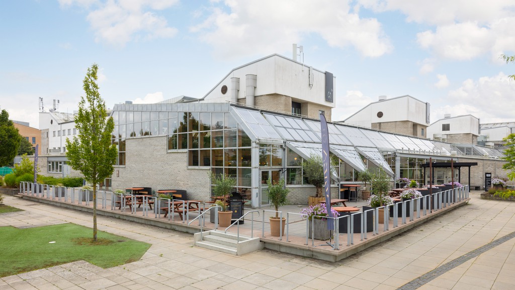 Bild på terras Alfa