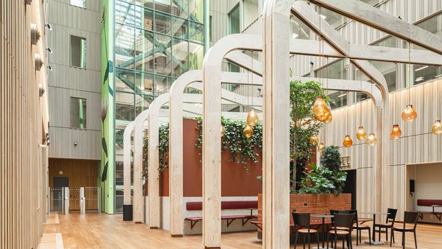 Mörkhårig kvinna i grön tröja sitter framför en dator.