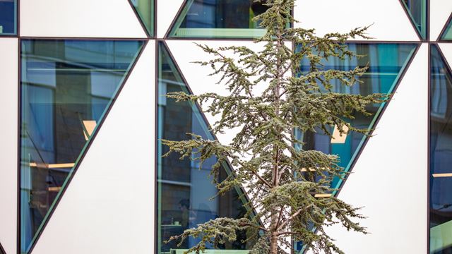 På Wihlborgs förvaltar vi våra fastigheter på ett effektivt och hållbart sätt.