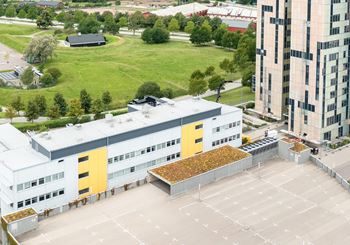 Trevligt kontor med labb i hjärtat av Ideon