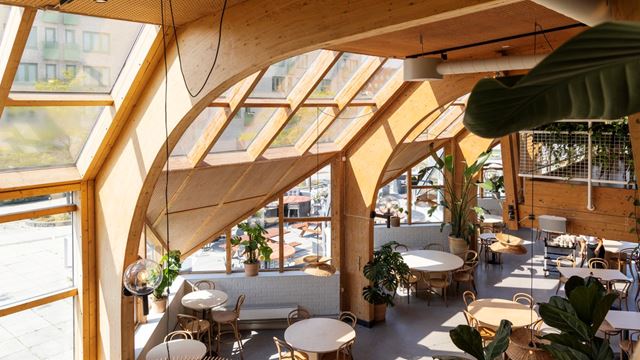 Träväggar och stora fönster som släpper in ljus i ett av kontorshuset på ideon i Lund