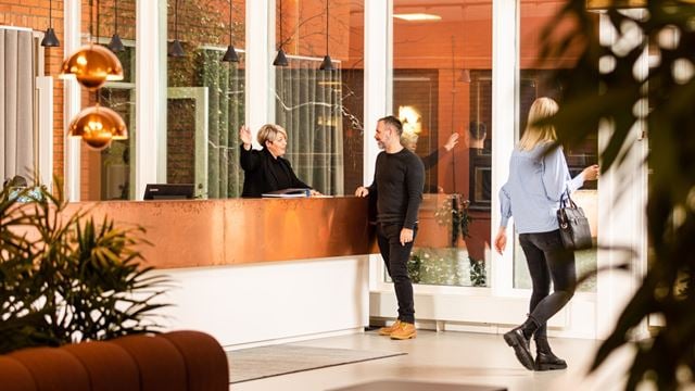 Överblick reception