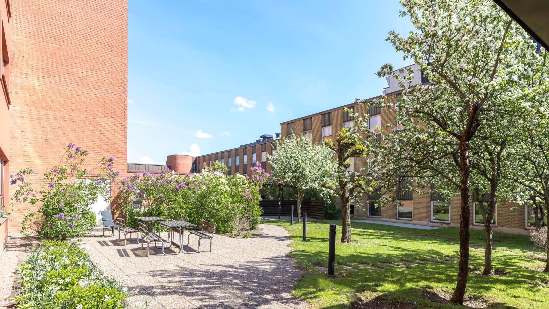 Orange tegelbyggnad med träd i förgrunden.