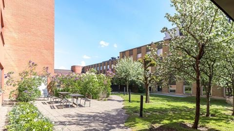 Orange tegelbyggnad med träd i förgrunden.