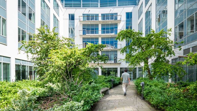 En innergård med mycket grönska och vita väggar, Skrovet 6 i Dockan, Malmö.