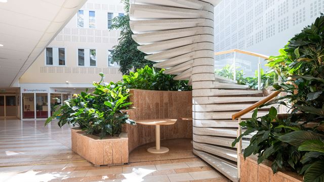 Trätrappa inomhus med grönska omkring.