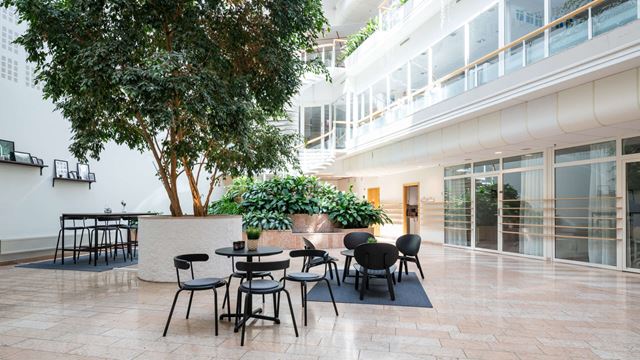 En sittgrupp framför stora växter i ett ljust atrium.